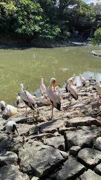 ネオパークオキナワに投稿された画像（2021/11/20）