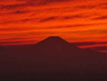 サンシャイン60展望台に投稿された画像（2021/11/20）