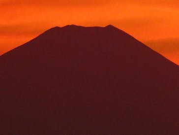 サンシャイン60展望台に投稿された画像（2021/11/20）