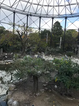 天王寺動物園に投稿された画像（2021/11/20）