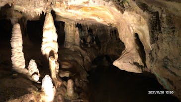 あぶくま洞に投稿された画像（2021/11/20）