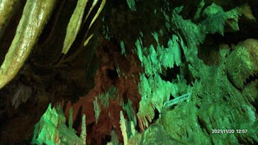 あぶくま洞に投稿された画像（2021/11/20）