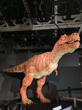 ティラノサウルス展 ～Ｔ. rex 驚異の肉食恐竜～（名古屋市科学館）に投稿された画像（2021/11/20）