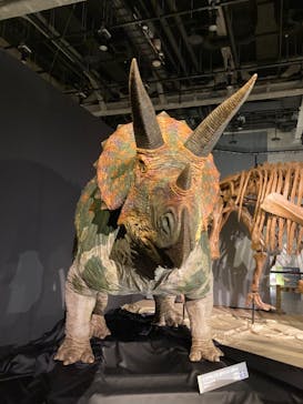 ティラノサウルス展 ～Ｔ. rex 驚異の肉食恐竜～（名古屋市科学館）に投稿された画像（2021/11/20）