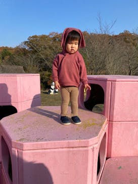 加賀 伝統工芸村　ゆのくにの森に投稿された画像（2021/11/20）