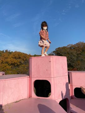 加賀 伝統工芸村　ゆのくにの森に投稿された画像（2021/11/20）