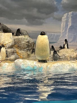 名古屋港水族館に投稿された画像（2021/11/20）