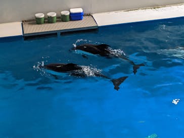 マクセル アクアパーク品川に投稿された画像（2021/11/20）