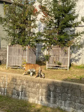天王寺動物園に投稿された画像（2021/11/20）