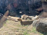 天王寺動物園に投稿された画像（2021/11/20）