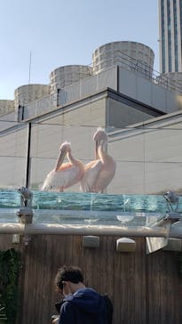 サンシャイン水族館に投稿された画像（2021/11/20）