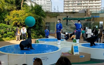サンシャイン水族館に投稿された画像（2021/11/20）