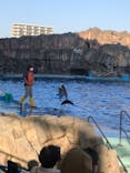 名古屋港水族館に投稿された画像（2021/11/20）