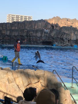 名古屋港水族館に投稿された画像（2021/11/20）