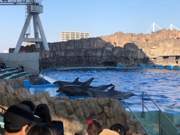 名古屋港水族館に投稿された画像（2021/11/20）