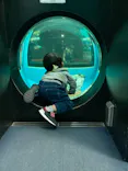 しながわ水族館に投稿された画像（2021/11/20）
