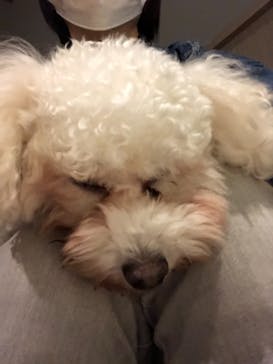 Moff animal world MARK IS みなとみらい店に投稿された画像（2021/11/20）