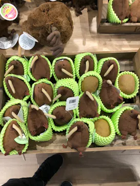 天王寺動物園に投稿された画像（2021/11/20）