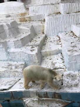 天王寺動物園に投稿された画像（2021/11/20）
