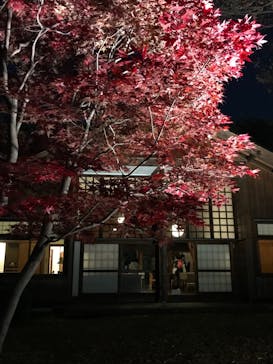 江戸東京たてもの園に投稿された画像（2021/11/20）