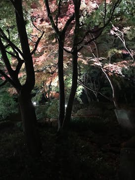 江戸東京たてもの園に投稿された画像（2021/11/20）