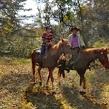 クリオステーブルに投稿された画像（2021/11/20）