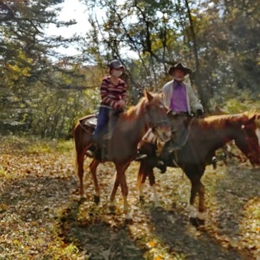 クリオステーブルに投稿された画像（2021/11/20）