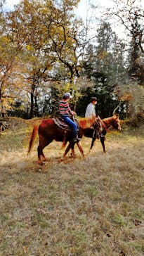 クリオステーブルに投稿された画像（2021/11/20）