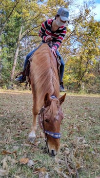 クリオステーブルに投稿された画像（2021/11/20）