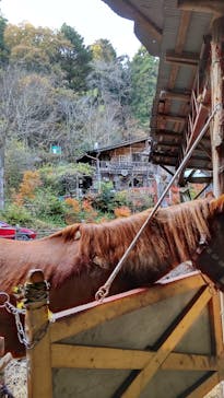 クリオステーブルに投稿された画像（2021/11/20）