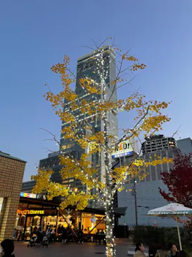 天王寺動物園に投稿された画像（2021/11/20）