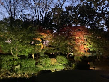 江戸東京たてもの園に投稿された画像（2021/11/20）