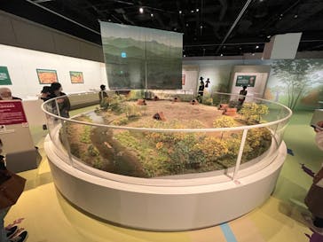 特別展「縄文2021―東京に生きた縄文人―」(江戸東京博物館）に投稿された画像（2021/11/20）