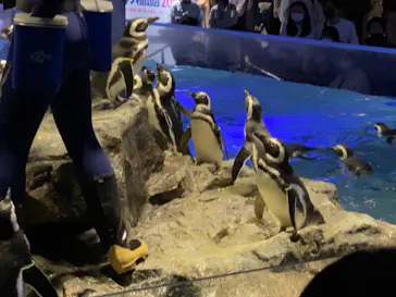 すみだ水族館に投稿された画像（2021/11/20）
