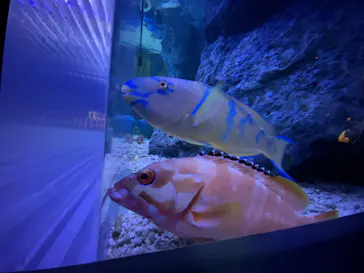 すみだ水族館に投稿された画像（2021/11/20）