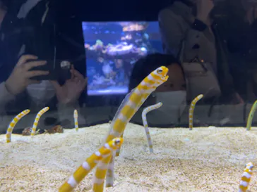 すみだ水族館に投稿された画像（2021/11/20）