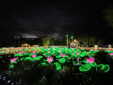 美らヤシパークオキナワ・東南植物楽園に投稿された画像（2021/11/20）