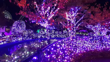 ひらかたパークに投稿された画像（2021/11/20）