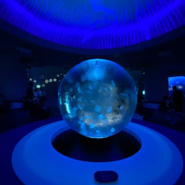 新江ノ島水族館に投稿された画像（2021/11/20）