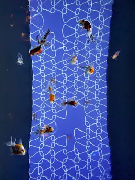 すみだ水族館に投稿された画像（2021/11/20）