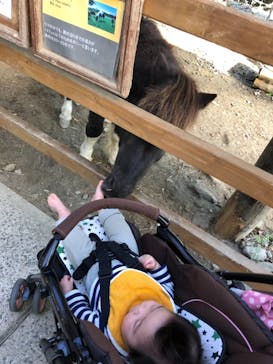 長崎バイオパークに投稿された画像（2021/11/20）