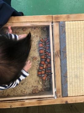 長崎バイオパークに投稿された画像（2021/11/20）