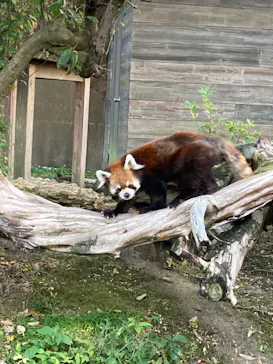 ひらかたパークに投稿された画像（2021/11/20）