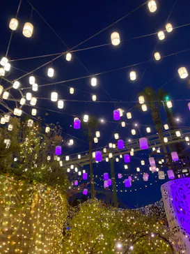 ひらかたパークに投稿された画像（2021/11/20）