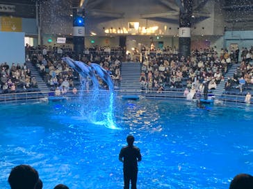 マクセル アクアパーク品川に投稿された画像（2021/11/20）