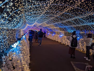 東京メガイルミに投稿された画像（2021/11/20）