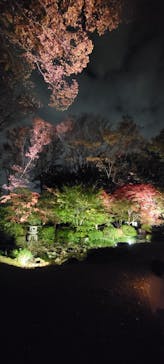 江戸東京たてもの園に投稿された画像（2021/11/20）