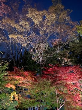 江戸東京たてもの園に投稿された画像（2021/11/20）