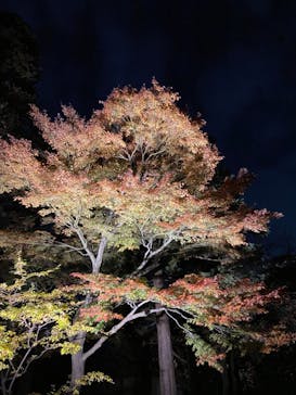 江戸東京たてもの園に投稿された画像（2021/11/20）