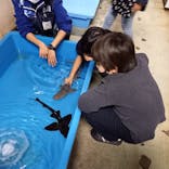 横浜・八景島シーパラダイスに投稿された画像（2021/11/20）